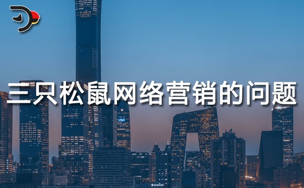 chat三只松鼠網(wǎng)絡(luò)營銷存在的問題.jpg