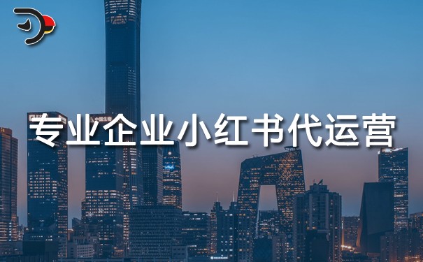 專業(yè)企業(yè)小紅書代運營.jpg